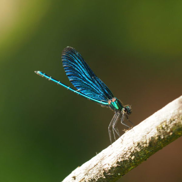 Veranstaltungen 2026