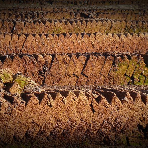 Macht mit: Torffrei Gärtnern