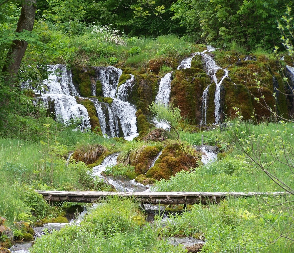 Natur & Kulturgeschichte im Quellgebiet Weissenbronnen